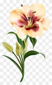 I'm sure you will be thrilled to see realistic flower drawings on a. Free Png Download Yellow Flower3 Simple Flowers Drawing Outlines Clipart 3381446 Pinclipart