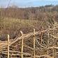 Introduction to Hedge laying (2 day course) at event image