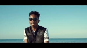Dudu baya ashitakiwa kwa kumchafua joseph kusaga, kesi yake kutajwa tena mwishoni mwa mwezi january. Download Dudu Baya Nimeondoka Official Music Audio Mp3 Mp4 3gp Flv Download Lagu Mp3 Gratis