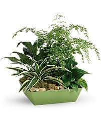 This home is located at 341 flora dr, columbia, sc 29223. Forever Green Plant Garden In White Rock Bc Choco Flowers Cafe