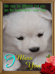 Pets Miss You Cards Free Pets Miss You Wishes Greeting Cards 123 Greetings