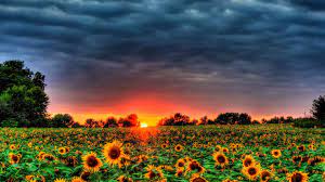 Maybe you would like to learn more about one of these? 12 Best Free Summer Wallpapers Of 2021