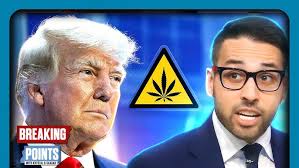 нужно сделать этот мир чуточку лучше! 🐸