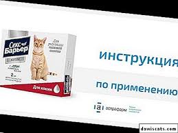 Tabletler Yuruyen Kediler Icin Damlalar Hangisini Tercih Edecekler Kastrasyon Yerine Uygun Mu