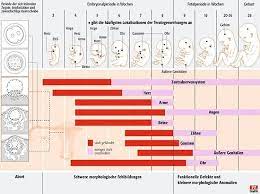 Schwangerschaft Und Stillzeit Antibiotika Nur Gezielt Einsetzen Pz Pharmazeutische Zeitung