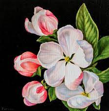 Are you searching for oil painting png images or vector? Apple Blossoms Flowers On A Black Background Oil Painting On Canvas Painting By Myroslava Voloschuk Saatchi Art
