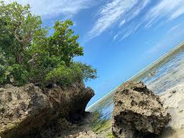 Путеводитель по отдыху на острове занзибар в танзании в 2021 году. Zanzibar Picture Of Zanzibarbar Zanzibar Island Tripadvisor