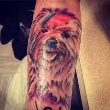 This is four of five combinations i tried. Tattoo Of My Dog Bowie Tattoo David Bowie Bowie Ink Morkie Bowie Tattoo Tattoos Bowie
