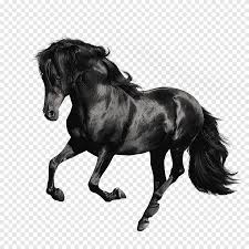 Black Horse Stomping Andalusian Horse American Quarter Horse Arabian Horse Gallop Stallion Black Galloping Horses Horse White Png Pngegg