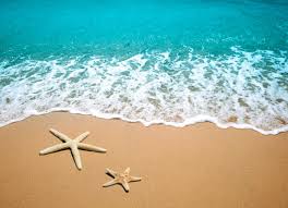 Resultado de imagem para mar