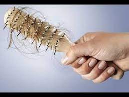 النساء واسباب تساقط الشعر اسباب تساقط الشعر عند النساء وطرق حلها منع تساقط الشعر Diabetic Hair Loss Hair Loss Women Hair Loss Remedies