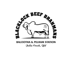 81 transparent png illustrations and cipart matching brahman cattle. Professional Elegant Business Logo Design For Blacklock Beef Brahmans Balootha Pelham Station Julia Creek Qld By Ambo Dalle Design 15356997