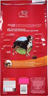 And it is immaculately clean. Purina One Smartblend Dry Dog Food Chicken Rice Formula 8 Pound Bag Pack Of 1 Pet Supplies Near Me Dry Dog Food Dog Food Recipes Purina