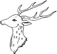 Coloriage #13 de cette thématique. Coloriage Chevreuil 2633 Animaux Album De Coloriages