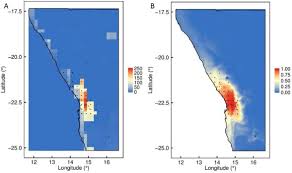 Image result for Arthraerua