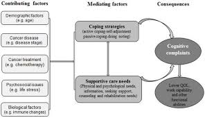 Cervical cancer presents a special challenge because you may not notice any signs or symptoms, especially when the condition is in its earliest stages. Cervical Cancer Survivors Perceived Cognitive Complaints And Supportive Care Needs In Mainland China A Qualitative Study Bmj Open