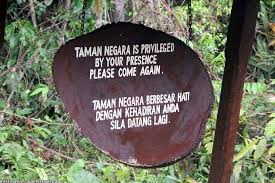 The name taman negara (national park) is synonymous with birdwatching in peninsular malaysia. Taman Negara Nationalpark Sehenswurdigkeiten Anreise Unterkunfte