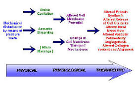 Ultrasound Therapy Physiopedia