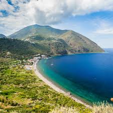 Image result for Liparis killmanniae