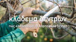We would like to show you a description here but the site won't allow us. Kladema Dentrwn Pws Kladeyoyme Ta Karpofora Dentra Ta Mystika Toy Khpoy Youtube