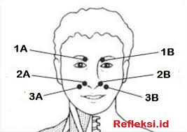 Titik Pijat Refleksi Untuk Mengobati Sakit Pilek Penyebab yang paling sering terjadi adalah pilek atau flu. titik pijat refleksi untuk mengobati