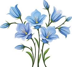 Pin By Dani Ela On Paint Draw Blue Bell Flowers Watercolor Flower Background Flower Drawing