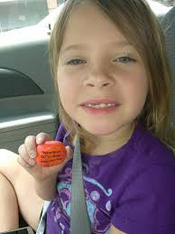 Retrieved item from tree with leash