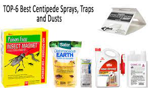 A 5 Easy Steps Guide To Getting Rid Of House Centipedes In 2021