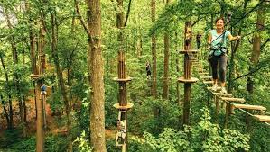 Tree Top Adventures At Go Ape Rockville Top Adventures Ziplining Go Ape