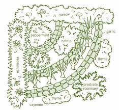 Medicinal Herb Garden Cold And Flu Mother Earth News