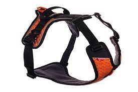 Die qualität überzeugt auf allen linien. Non Stop Dogwear Ultra Harness Dogsportworld