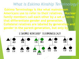 Ppt Kinship Diagramming Powerpoint Presentation Free