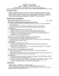 chronological resume template