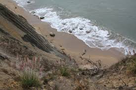 Bowling Ball Beach Point Arena Ca California Beaches