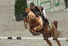 Kevin staut, né le 15 novembre 1980 au chesnay (), est un cavalier de saut d'obstacles français. Penelope Leprevost Wikipedia