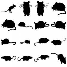 Mice Silhouettes Free Stock Photo Hd Public Domain Pictures Mouse Silhouette Art Silhouette Free