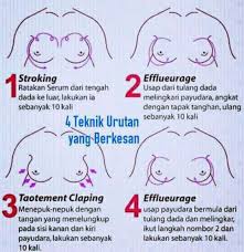 Selain bokong, wanita acap kali mencari cara memperbesar payudara secara alami agar meningkatkan daya tariknya di mata pria. Hot Item Krim Pembesar Payudara Lulus Kkm Shopee Malaysia