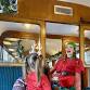 The Elf Express - Christmas Steam* Train event image