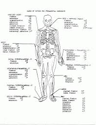 The physiology coloring book was published in 1987, with the assistance of two professors from berkeley: Anatomy And Physiology Coloring Pages Free Coloring Home