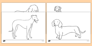 Millions of products all with free shipping new zealand wide. Pictures Of Dogs To Colour In Dog Template Art Activity