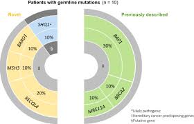 Maybe you would like to learn more about one of these? Novel Germline Mutations In Dna Damage Repair In Patients With Malignant Pleural Mesotheliomas Journal Of Thoracic Oncology