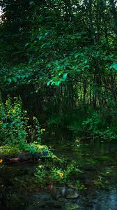 Green Forest Wallpaper Hd For Mobile Nature Wallpaper Nature full hd wallpapers 1920x1080.