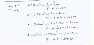 CalculeazÄƒ In Metri Perimetrul Unui PÄƒtrat Cu Aria De 9 M PÄƒtraÈ›i 0 36 M PÄƒtraÈ›i 16 Hm 25 De Ari Brainly Ro