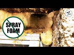 Why Spray Foam Does Not Keep Out Mice Youtube