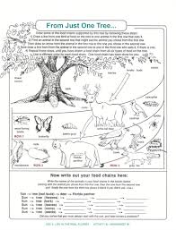 Pin On Grade Sheet Template Worksheets