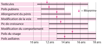 La croissance et le déclenchement de la puberté d'un adolescent dépendent de son patrimoine génétique et sont donc. Puberte Precoce Pediatrie Edition Professionnelle Du Manuel Msd