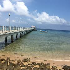 Bodrum bay resort rezervasyon ve fiyat bilgileri tatilbudur'da! Fotos En Dumba Bay Resort 2 Tips