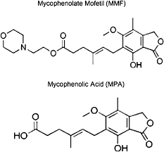 Image result for Mycophenolate