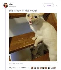 We Can T Stop Thinking About This Coughing Cat Meme Funny Cat Memes Animal Memes Funny Memea