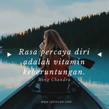 Anak bahagia belajar cara kaya cerita keberhasilan cerita kesabaran cerita motivasi cinta cinta sejati dongeng anak dongeng binatang dongeng hewan dongeng motivasi filosofi harapan hidup. Iphin Cow 119 Photos Website
